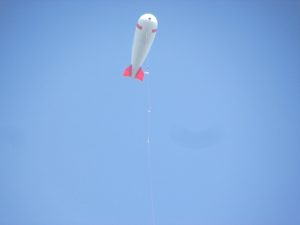 Lifted TROPOS balloon mounted with several measurement probes.
