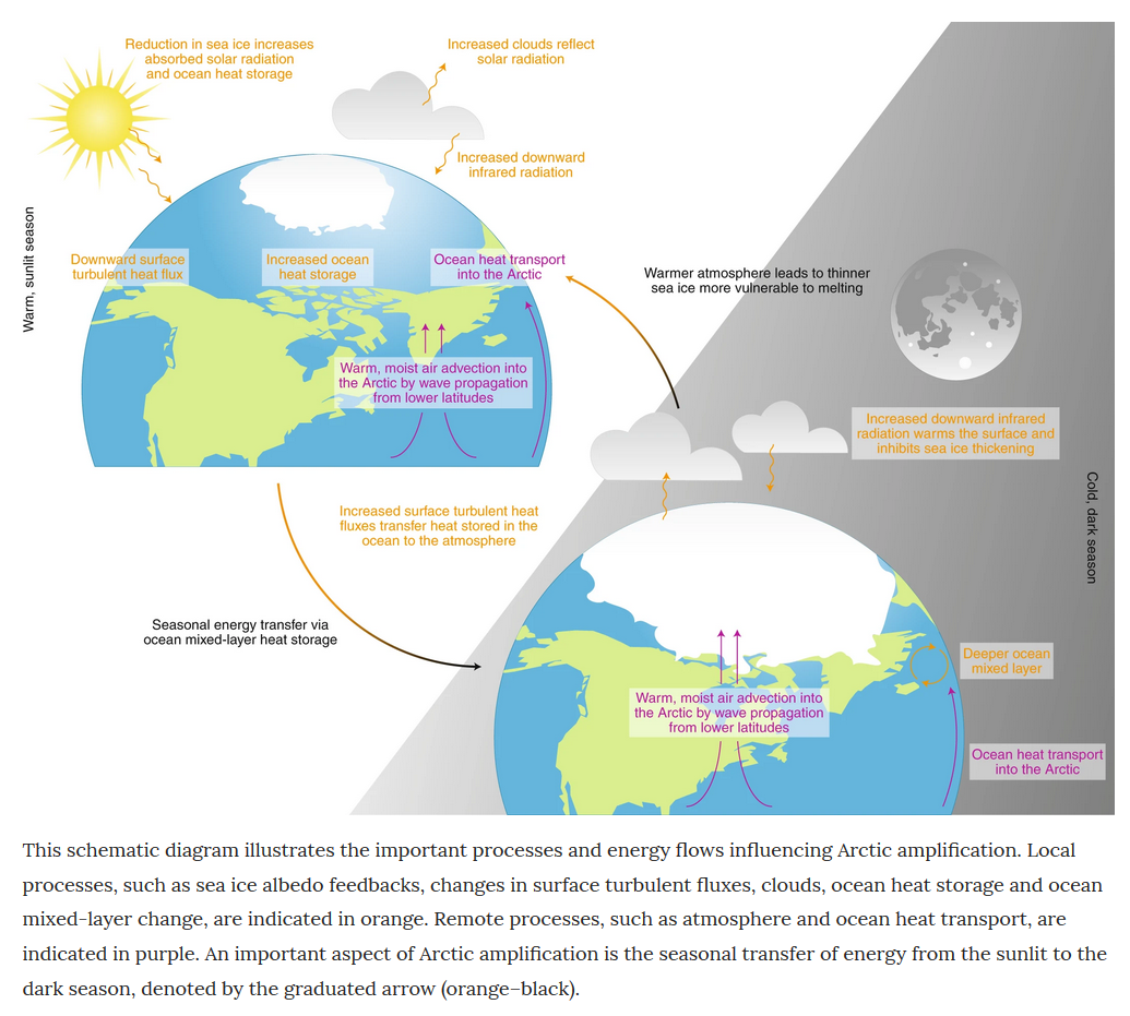 Figure adopted from Cohen et al., 2020, Nat. Clim. Change, https://www.nature.com/articles/s41558-019-0662-y