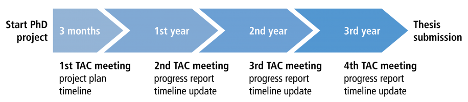 TAC_schedule TAC_schedule